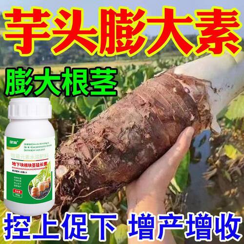 芋头膨大素控旺膨大剂荔浦芋头