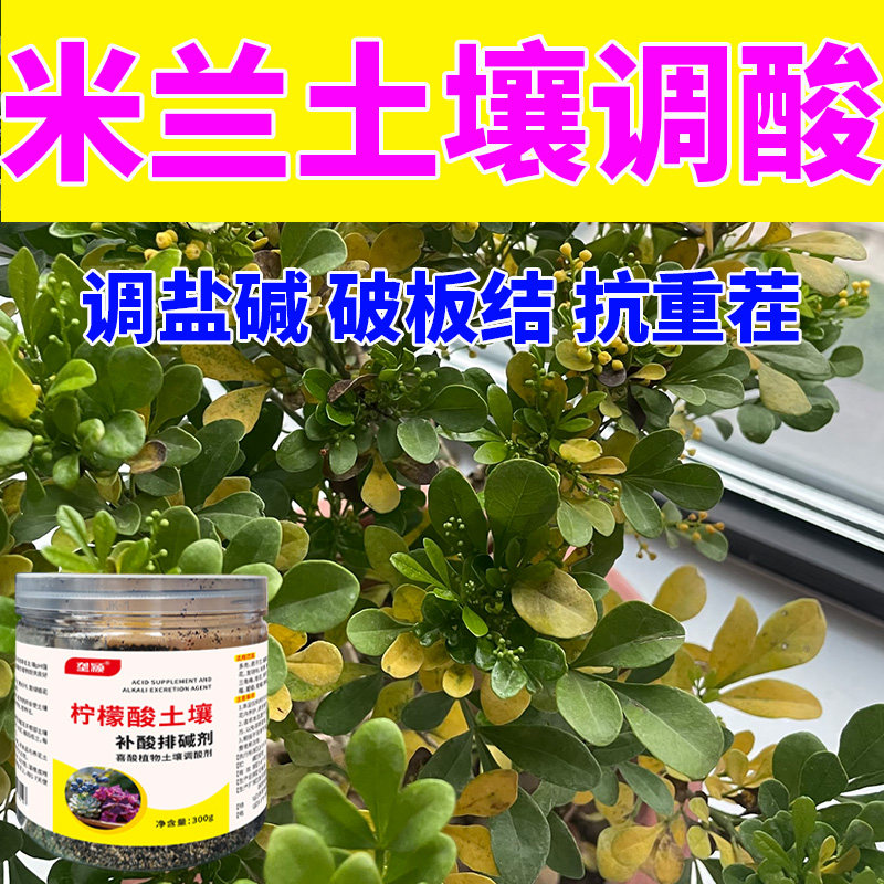 米兰专用柠檬酸养花肥料调节土壤酸度改善土质叶片油亮促生长花肥