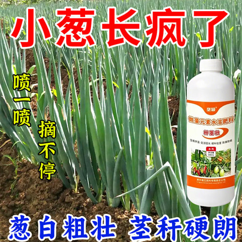 小香葱专用肥四季葱蔬菜有机肥增根壮苗葱白粗壮茎秆硬朗水溶肥