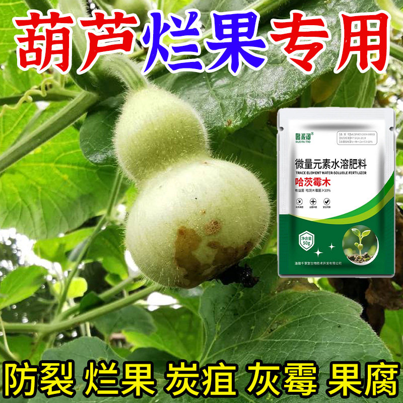 葫芦烂果专用肥葫芦补充元素美果防裂畸形农用升级工厂增产增收