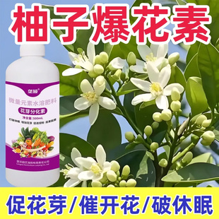 柚子花芽分化催花素强力催花促花保花保果专用肥料爆满花猛增产用