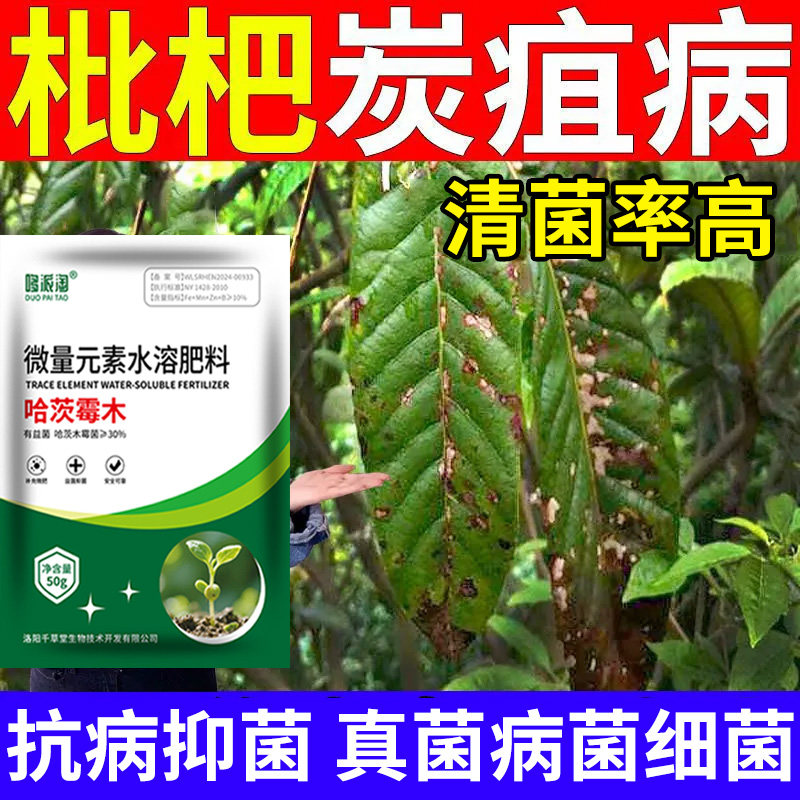 枇杷炭疽病专用肥果实果树叶斑病灰霉病烟煤病裂果烂果病菌清肥料