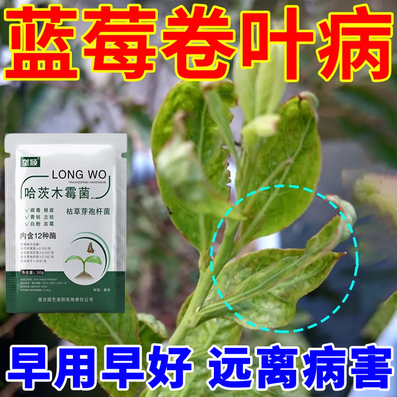 蓝莓卷叶病专用抑菌剂肥料哈茨木霉菌枯草芽孢杆菌防灰霉枯枝白粉