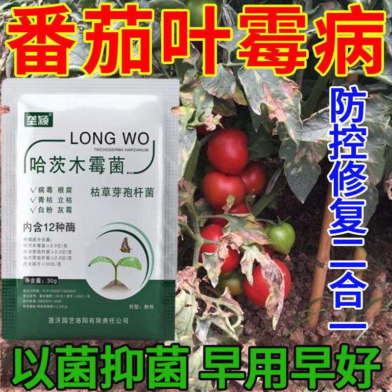 番茄叶霉病专用肥料西红柿果叶发霉长霉菌防控抑菌害微生物菌剂肥
