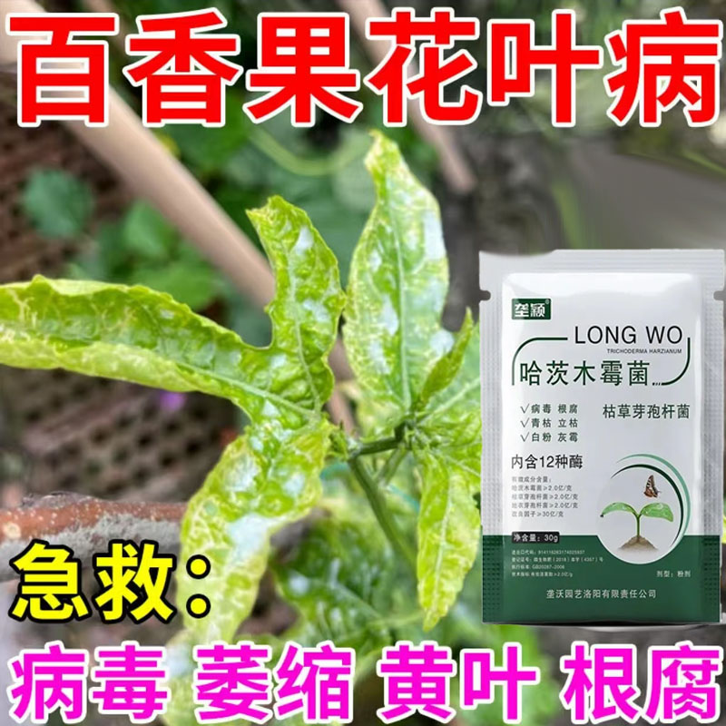 百香果叶子枯黄卷曲急救小叶花叶病皱皮病百香果专用叶面肥速转绿