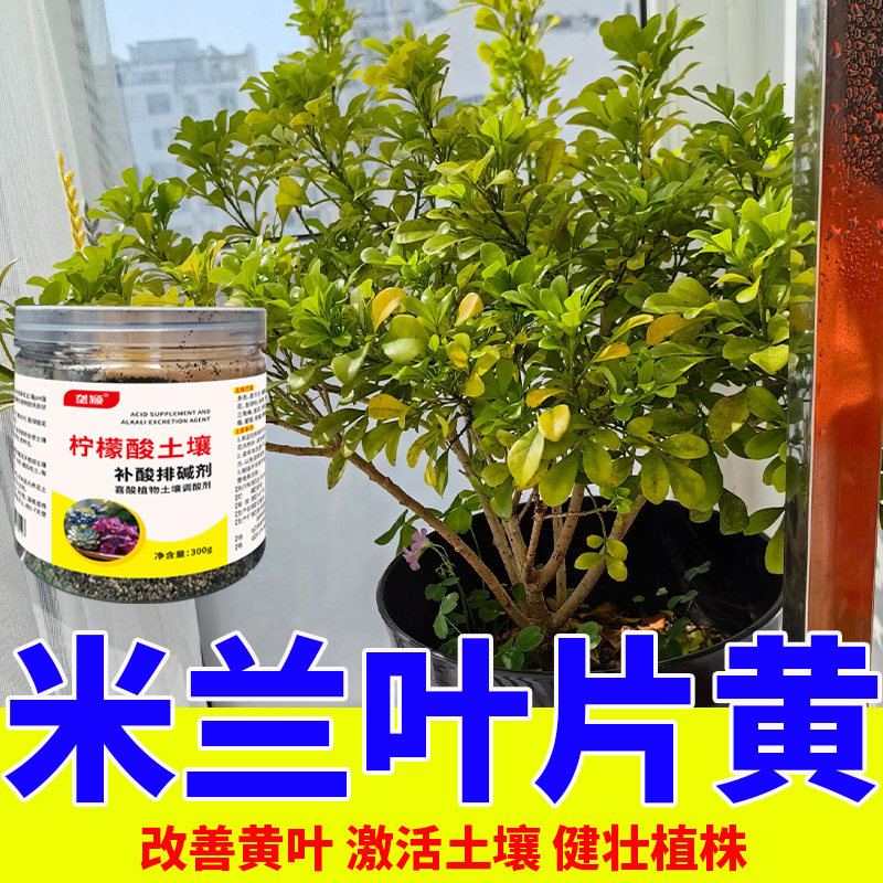 米兰专用柠檬酸养花肥料调节土壤酸度改善土质叶片油亮促生长花肥