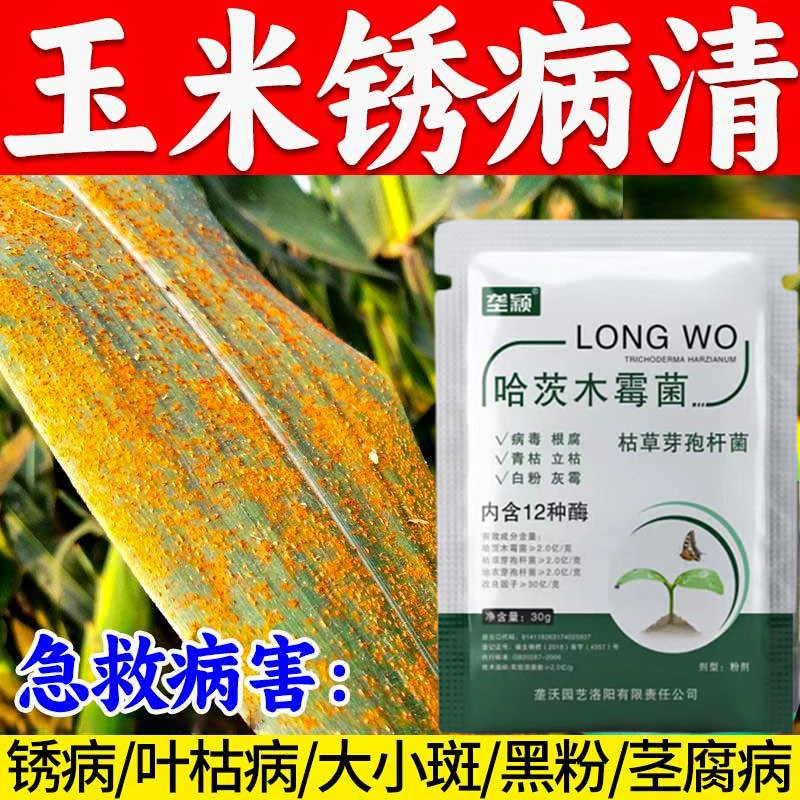 玉米锈病专用药叶枯病黑粉病茎腐病抗病增产增收杀菌剂水溶叶面肥