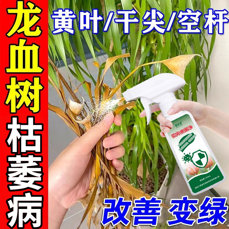 龙血树专用营养液室内龙须树防黄叶干尖防倒伏绿植通用水溶液体肥