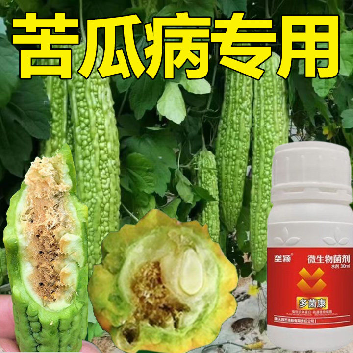 苦瓜专用肥防病虫害炭疽病卷叶病黄叶病烂果钻心虫蚜虫菜青虫蓟马