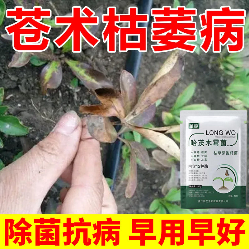 苍术枯萎病专用枯草芽孢杆菌除菌肥枯萎炭疽疫病防控急救水溶肥料