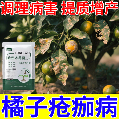 橘子疮痂病生物菌剂柑橘桔子树专用肥料急救溃疡疮痂黑皮沙皮白癞