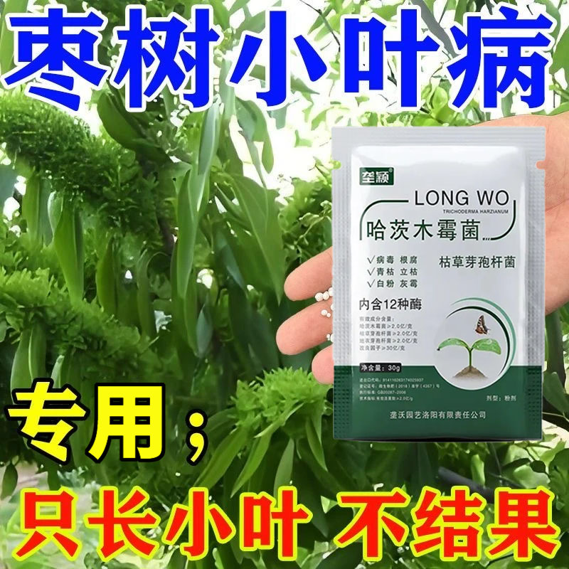 枣树专用肥小叶病公枣疯病丛枝扫帚火龙锈病毒病防缩果裂果叶面肥