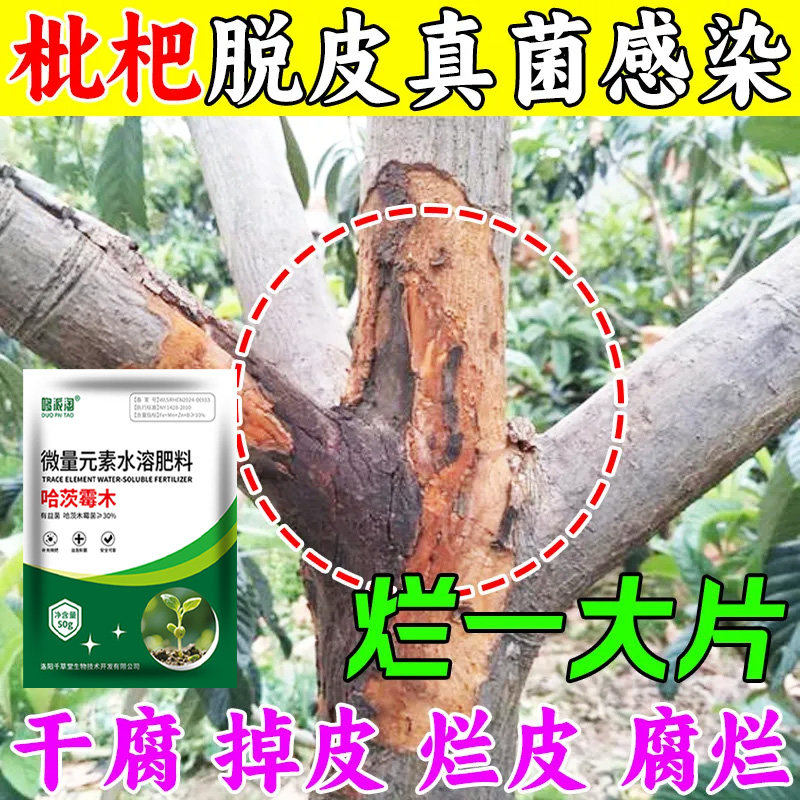 枇杷树脱皮专用修复剂肥料果树掉皮黄叶落叶枯萎枝干病微生物菌剂