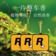车载香薰香卡香片清新香气除异味车内香氛香水持久R星柠檬香薰片