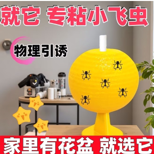 新款果蝇克星厨房厕所驱虫神器灭其它园艺用品
