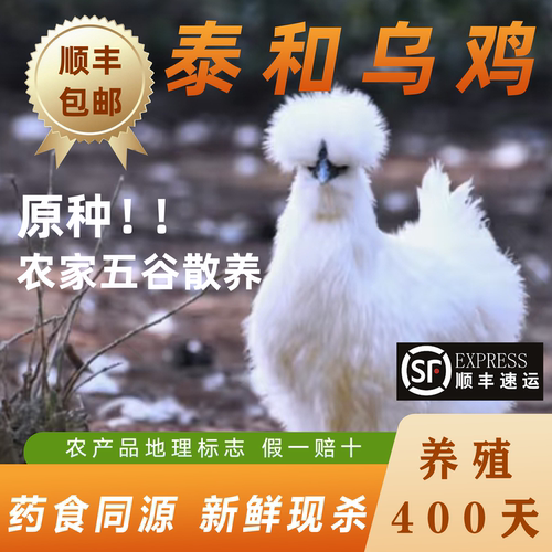 正宗泰和乌鸡现杀白凤原种乌骨鸡