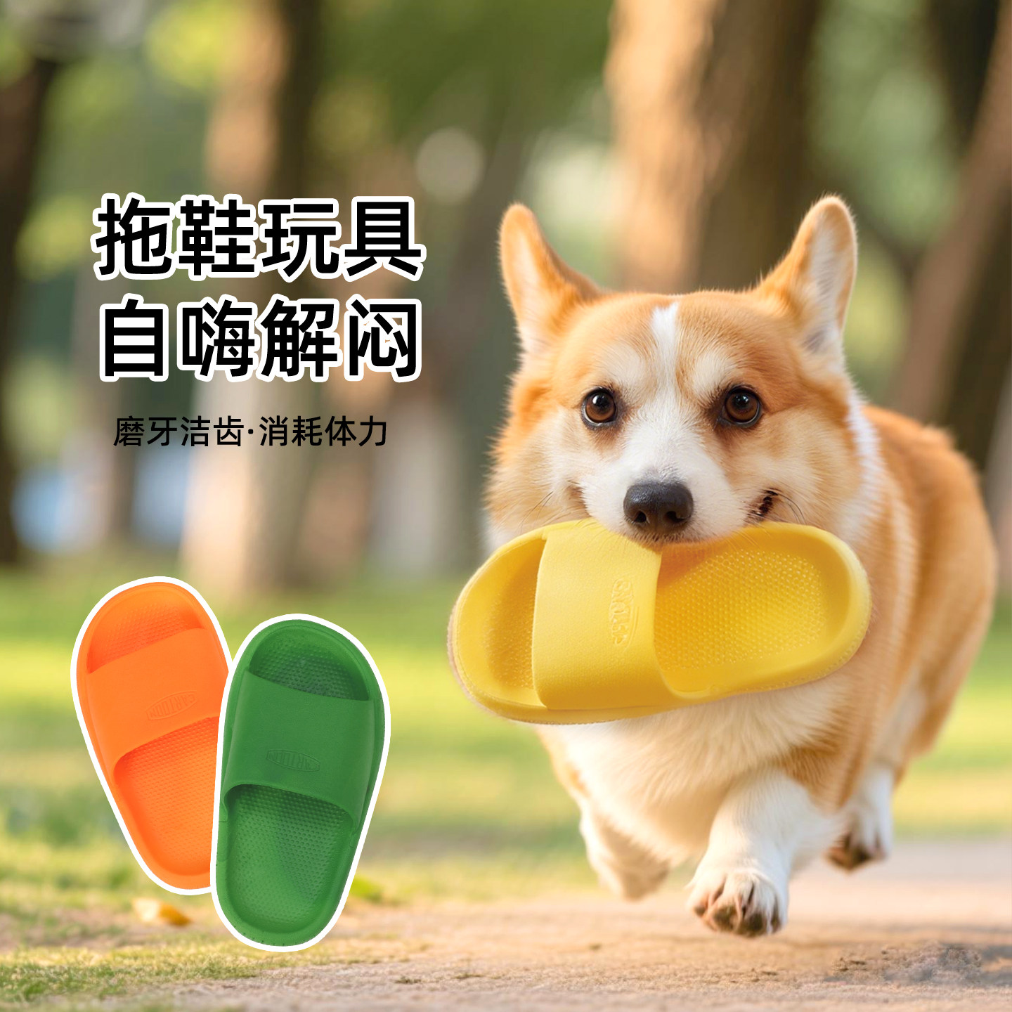 宠物狗狗拖鞋玩具耐咬磨牙洁齿消耗体力柯基柴犬巡回自嗨解闷神器