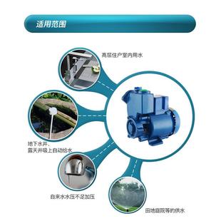 25W铜线自吸用泵家水冷空调1增压加压LAE泵抽水泵