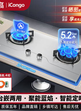 志高iCongo燃气灶双灶家