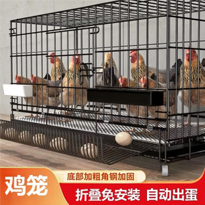 鸡笼子家用室内室外大号特大号