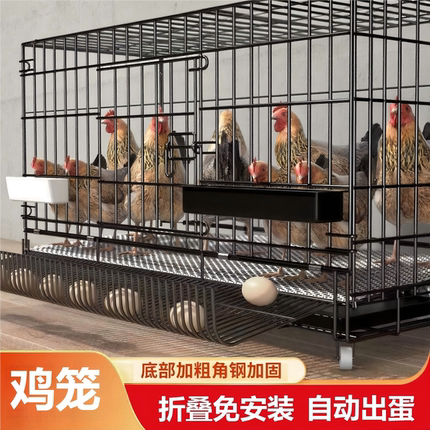 鸡笼子家用室内室外大号特大号下蛋养鸡笼鸡窝鸡舍鸭笼折叠养殖笼