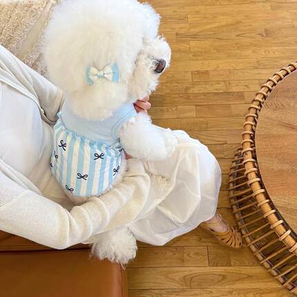 狗狗熊衣服春夏猫猫迪咪宠物接服装拼公主裙泰比薄款USV连身裙夏
