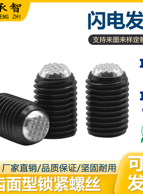 动向钢珠螺杆 齿面型锁紧螺丝 FSMG6-M16 无弹簧滚动波珠 PT16C