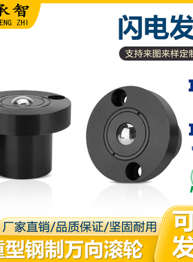 QDE72-60/75 车削型法兰式带弹簧向下型万向滚珠 重型钢制万向球