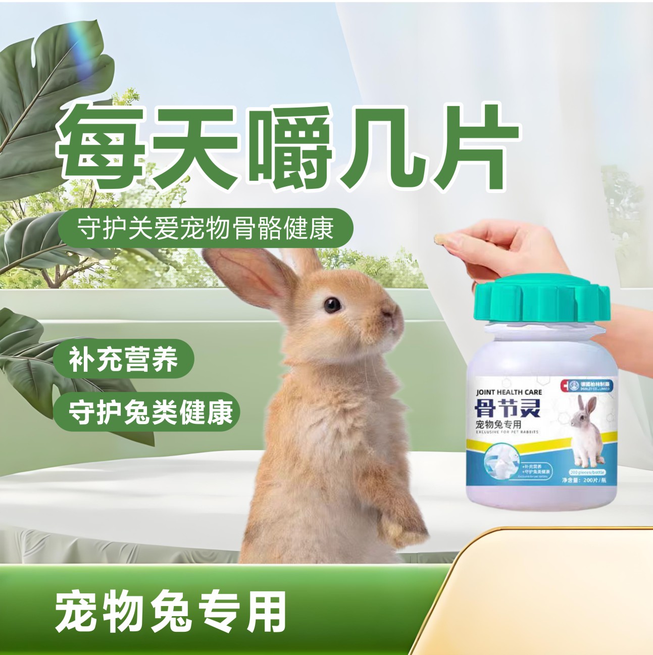 兔子钙片补钙后腿无力软脚跛行