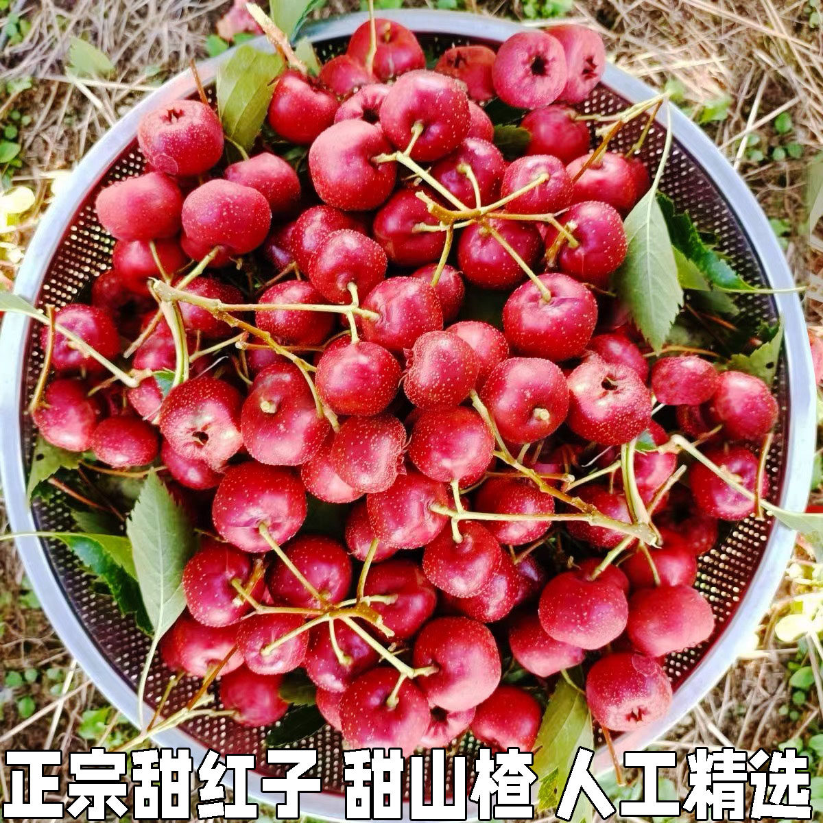 甜红子山楂果新鲜现摘山里红甜口小山楂五愣金星糖葫芦糖雪球包邮