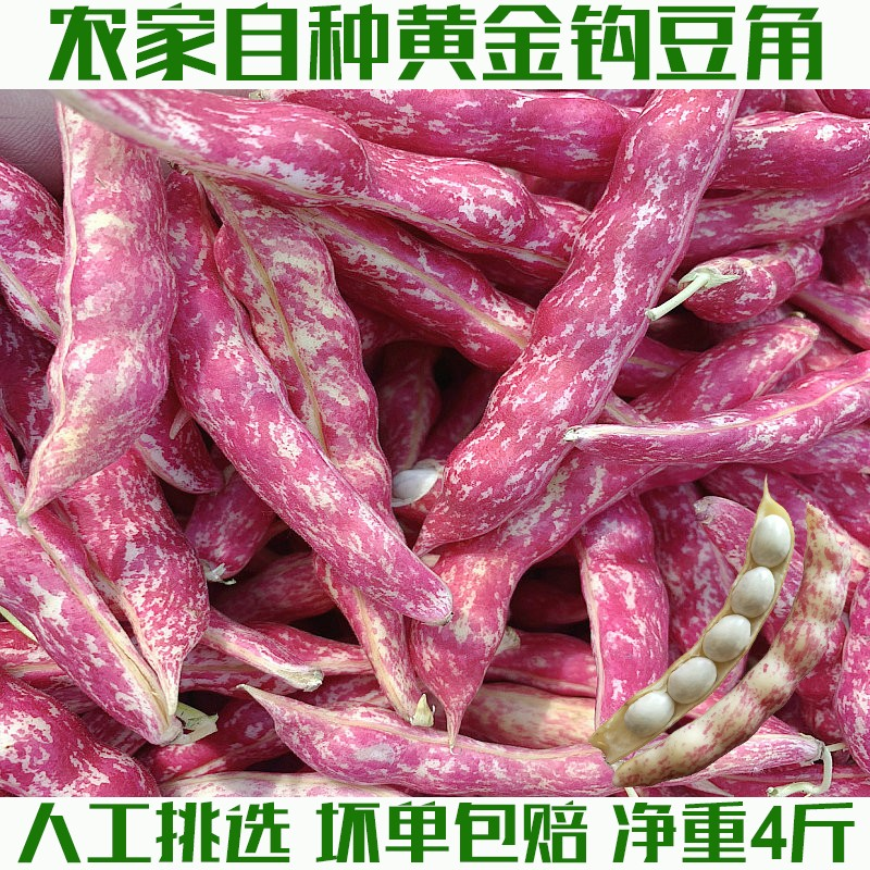 湖北农家油豆角黄金勾钩黄豆角沟挤豆八月忙新鲜蔬菜黄金钩豆角
