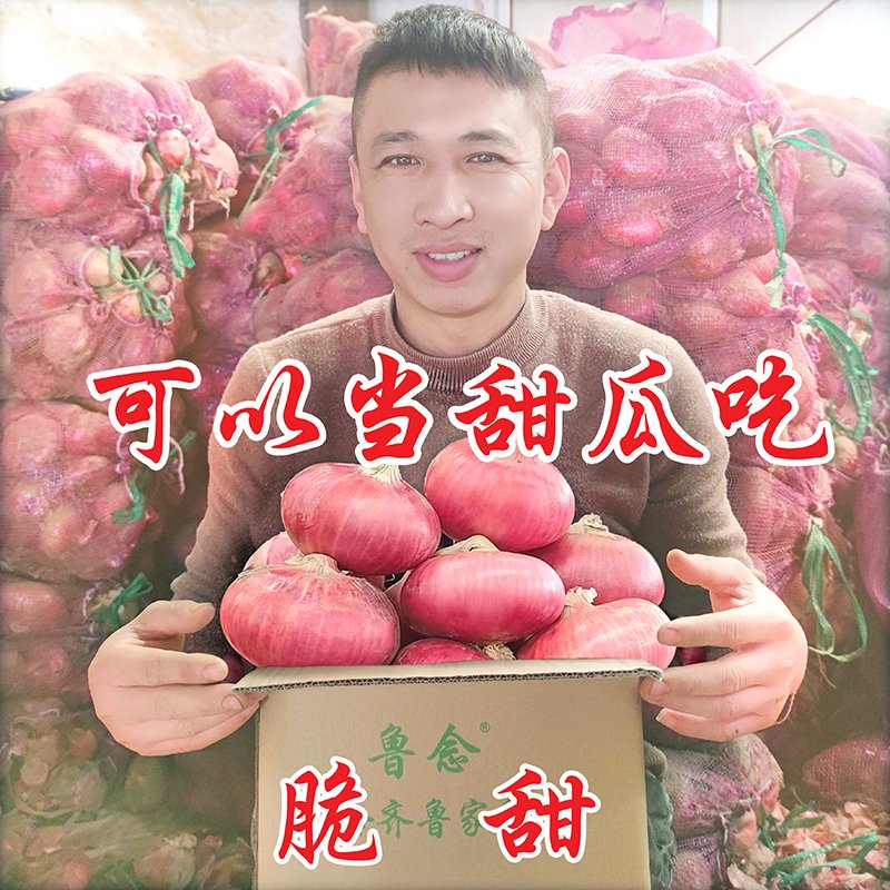 官方正品】山东二红扁葱肉厚多汁新鲜水果洋葱生吃甜脆应季土特产