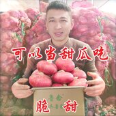 官方正品 土特产 山东二红扁葱肉厚多汁新鲜水果洋葱生吃甜脆应季