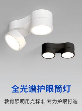 明装筒灯客厅家用2024新款两头超薄可调节吸顶全光谱LED无主灯