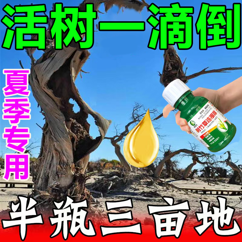 环秦铜灭树粉除树剂死树剂大树烂根强力杀死大树根专用药烂树根剂