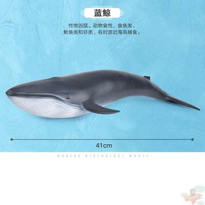 蓝鲸玩具须鲸鲸鱼模型大号45cm仿真海洋动物软胶塑胶硅胶男孩礼物