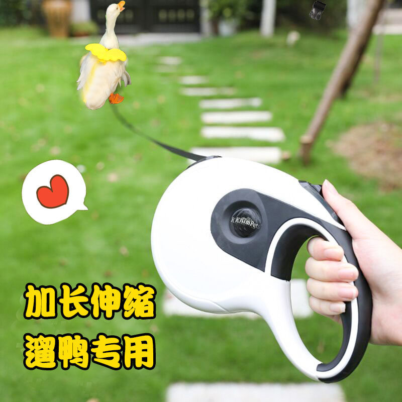 柯尔鸭牵引绳遛小鸭子专用小鸡绑绳宠物溜鸡绳外出养母鸡鹅的用品