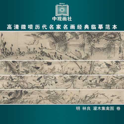 林良灌木集禽图卷明代花鸟画长卷国画原作微喷复制临摹画稿装饰画