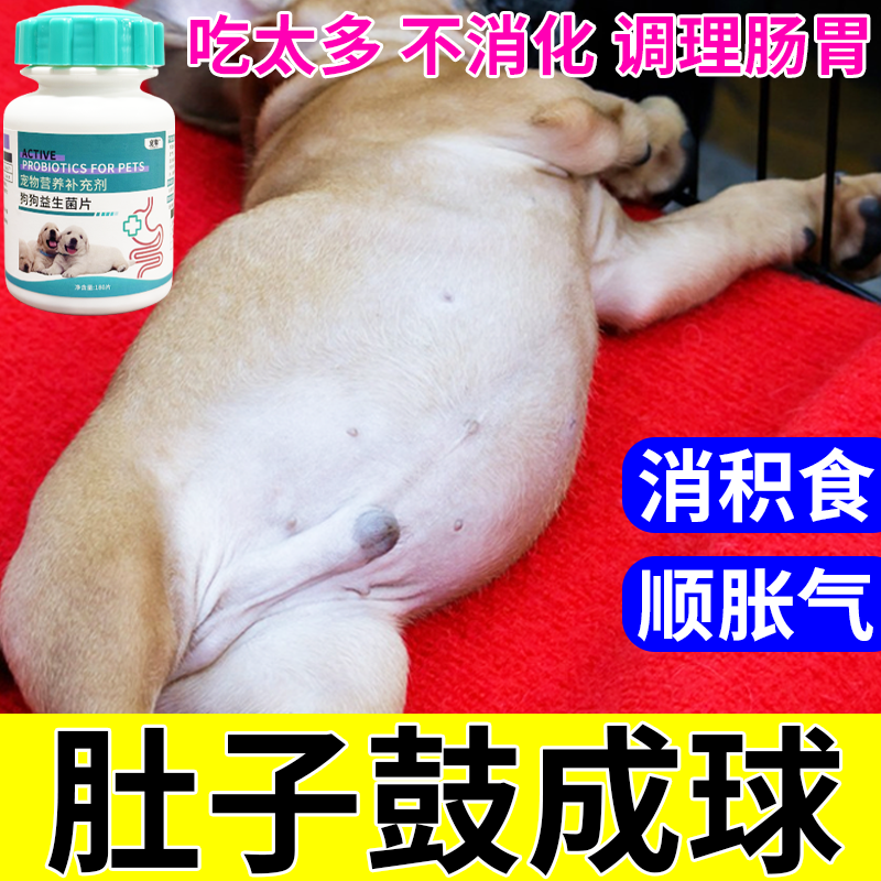 宠物胀气益生菌狗狗肠胃调理消化不良肚子胀气消食狗狗益生菌片