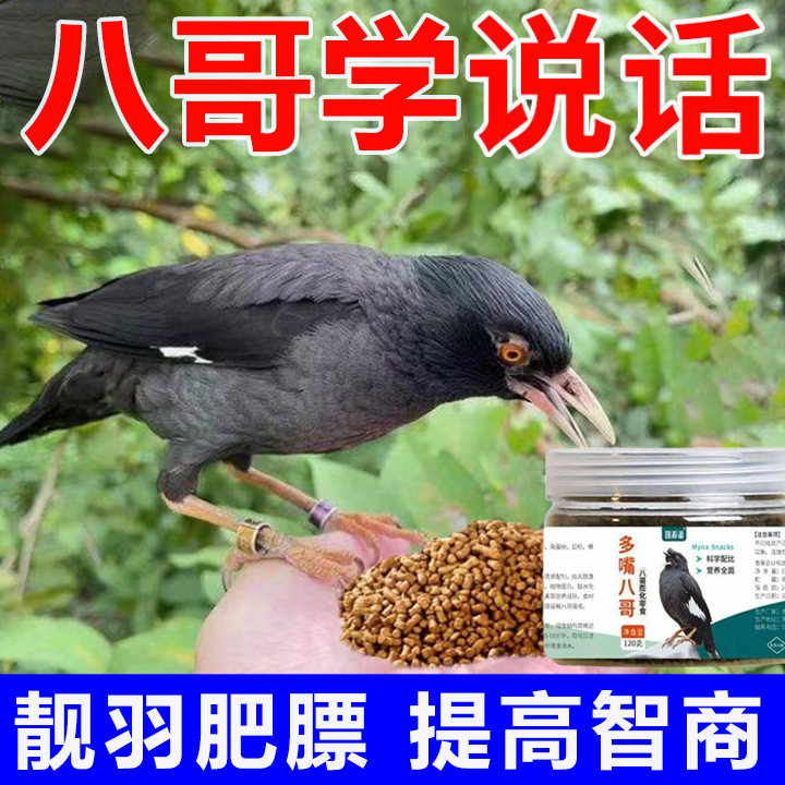 八哥专用鸟粮幼鸟饲料学说话训练奖励高蛋白营养粮小颗粒八哥鸟粮