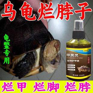 乌龟腐皮烂甲疥疮灵中花草龟花龟烂脖子烂头烂爪烂尾穿孔护壳灵剂