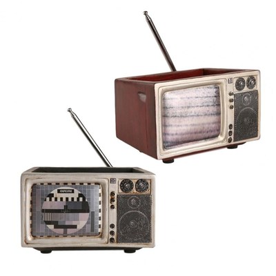 TV Flowerpot Exquisite Chic Resin Fleshy Flowerpot Sculpture