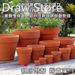 Red clay pot clay short POTS made of baked clay green plant
