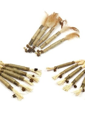 2022 New Toys Silvervine Sticks Teeth Cleaning Interactive C