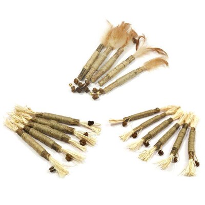 2022 New Toys Silvervine Sticks Teeth Cleaning Interactive C
