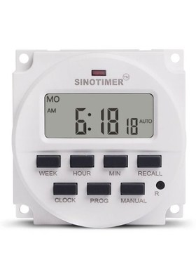 TM618N-2 BIG LCD Digital 220V Programmable Timer Switch with