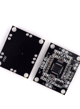 PAM8610 Digital Power Amplifier Board 2 x15w Dual Channel St