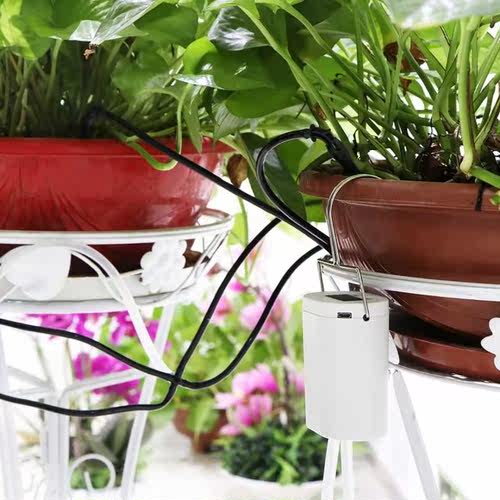8/4/2 Head Automatic Watering Pump Controller Flowers Plants