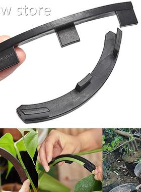 10x F1ruitg trees twistin branches new onsati with curvedb o