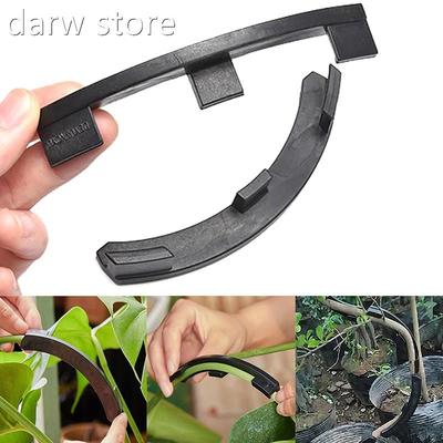 10x F1ruitg trees twistin branches new onsati with curvedb o